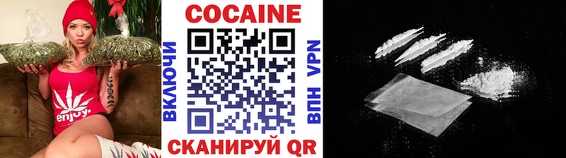 купить закладку  МЕГА ссылки  COCAIN Fish Scale  Пущино 