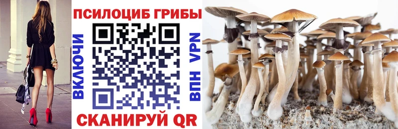 Псилоцибиновые грибы прущие грибы Пущино